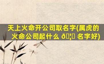 天上火命开公司取名字(属虎的火命公司起什么 🦈 名字好)